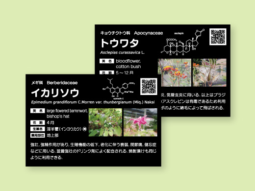 熊本大学薬学部 様  薬用植物園 薬草ラベル