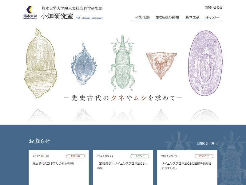 熊本大学 大学院人文社会科学研究部 小畑研究室 様