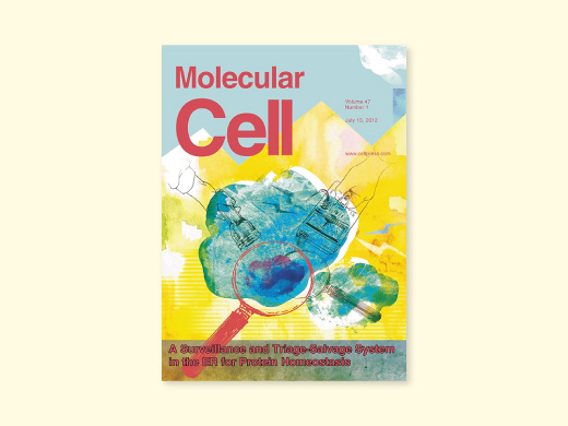 熊本大学薬学部 様  遺伝子機能応用学分野 論文・学術雑誌表紙用イラスト
