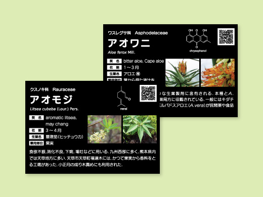 熊本大学薬学部 様 薬用植物園　薬草ラベル 第11弾60点