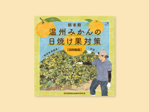 熊本県農産園芸課様　温州みかんの日焼け果対策の説明動画DVD　ジャケット